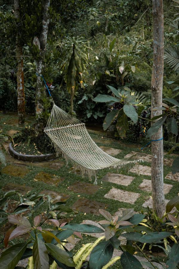 Kebun Kita Eco Lodge Padangan  Exterior photo
