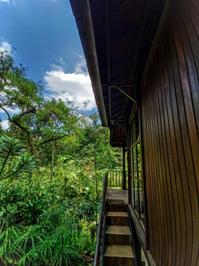 Kebun Kita Eco Lodge Padangan  Exterior photo