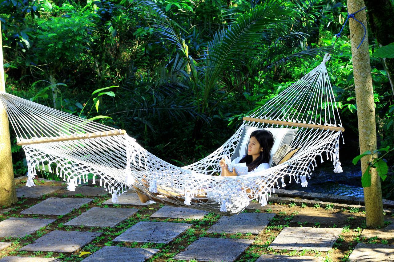 Kebun Kita Eco Lodge Padangan  Exterior photo